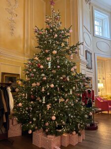 The Assembly House Christmas tree